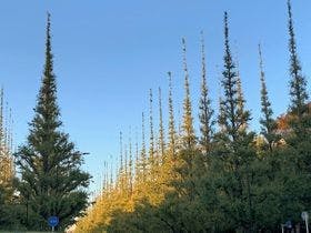 東急ステイ青山プレミア