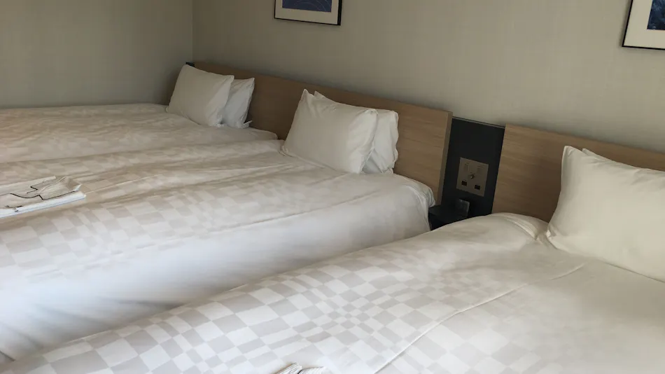 T Mark City Hotel Tokyo Omori