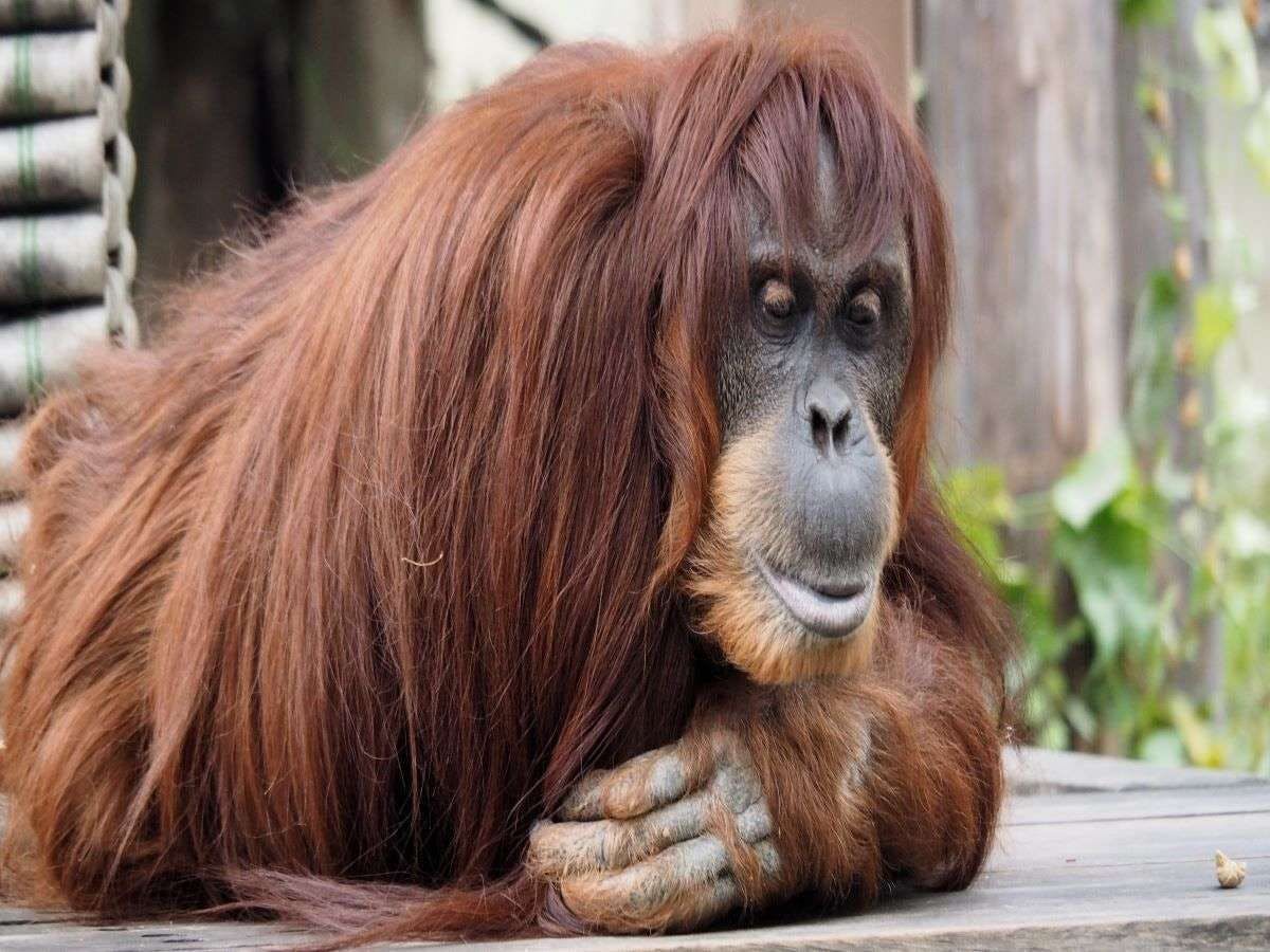 Vessel Hotel Campana Nagoya