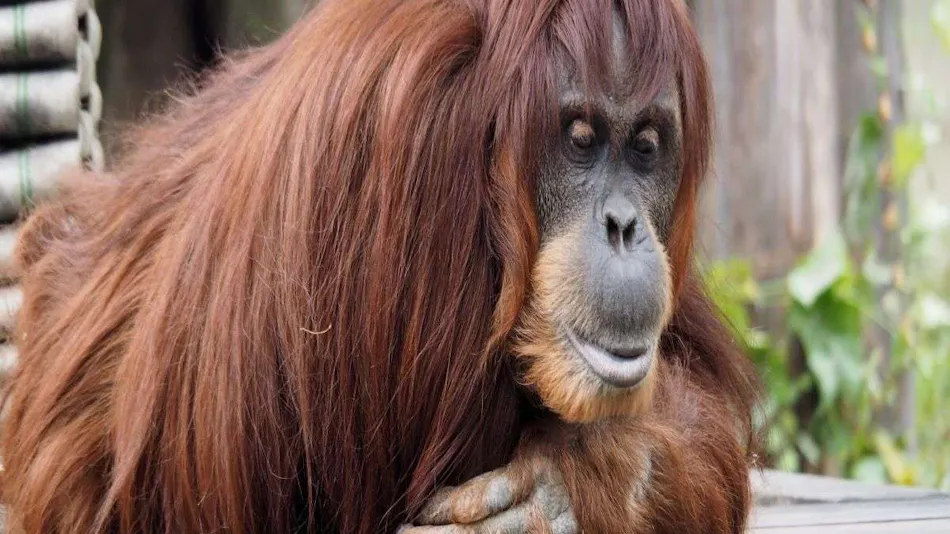 Vessel Hotel Campana Nagoya