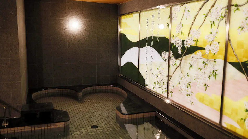 Natural Hot Spring Nara Wakakusa no Yu Daiwa Roynet Hotel Nara