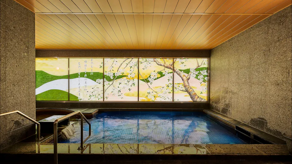 Natural Hot Spring Nara Wakakusa no Yu Daiwa Roynet Hotel Nara