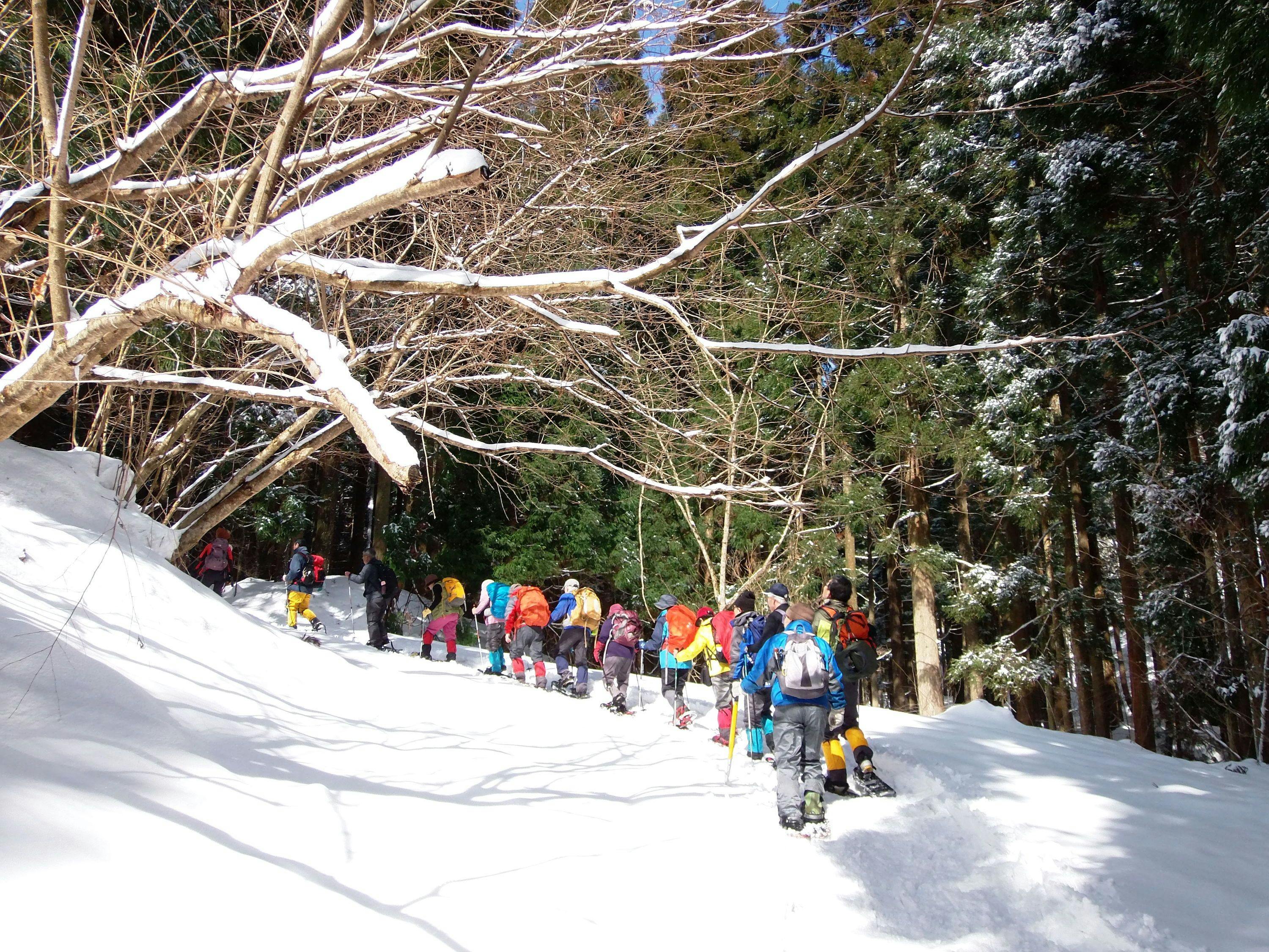 雪原の上を、専用の道具を使い歩きましょう