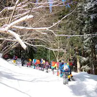 雪原の上を、専用の道具を使い歩きましょう