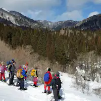 自然が生み出す造形美を体感!