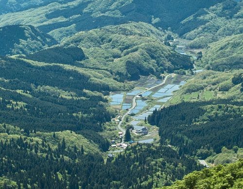 毛無山の山頂から田浪集落を見下ろす。