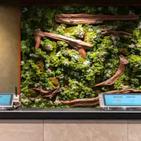 บรรยากาศอบอุ่น