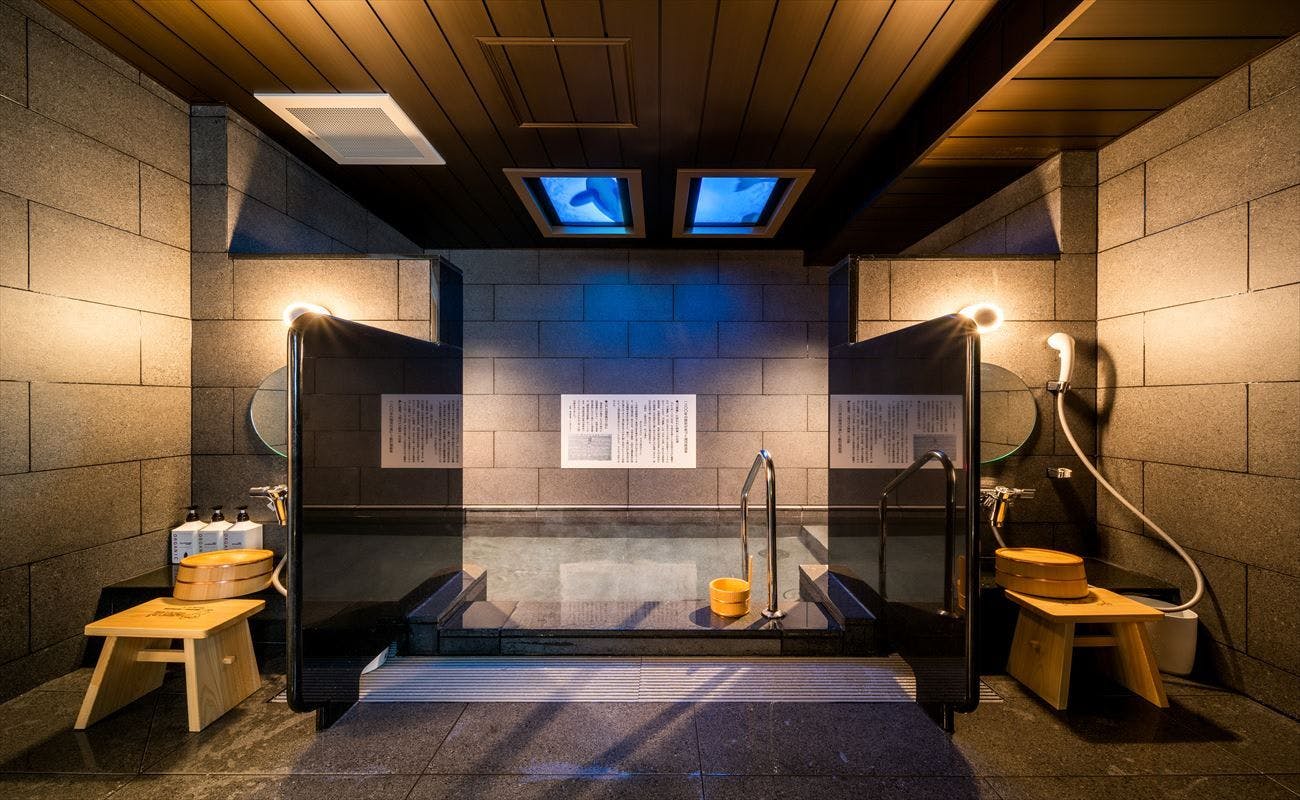 น้ำพุร้อนธรรมชาติ "Oku Yugawara no Yu"