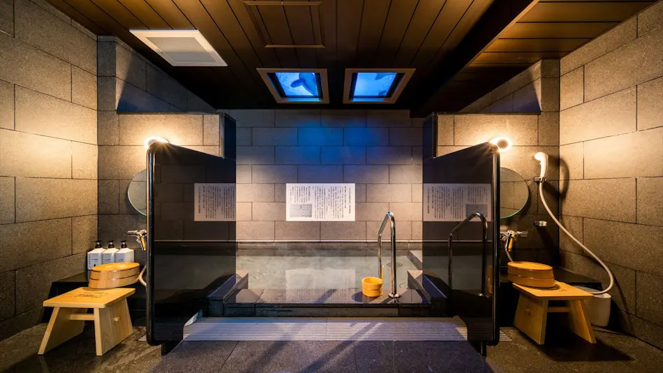 Natural Hot Spring Oku-Yugawara no Yu Super Hotel Premier Akihabara