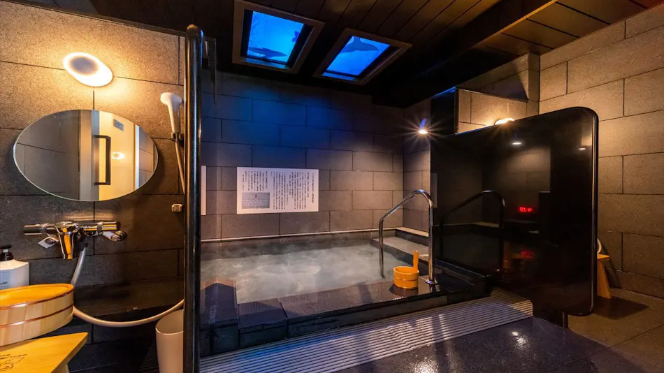 Natural Hot Spring Oku-Yugawara no Yu Super Hotel Premier Akihabara