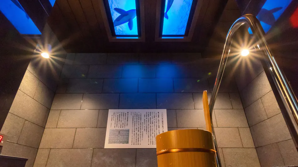 Natural Hot Spring Oku-Yugawara no Yu Super Hotel Premier Akihabara