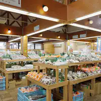 道の駅 奥伊勢おおだい