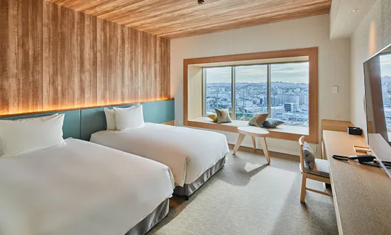 デラックス ウィンドーシート