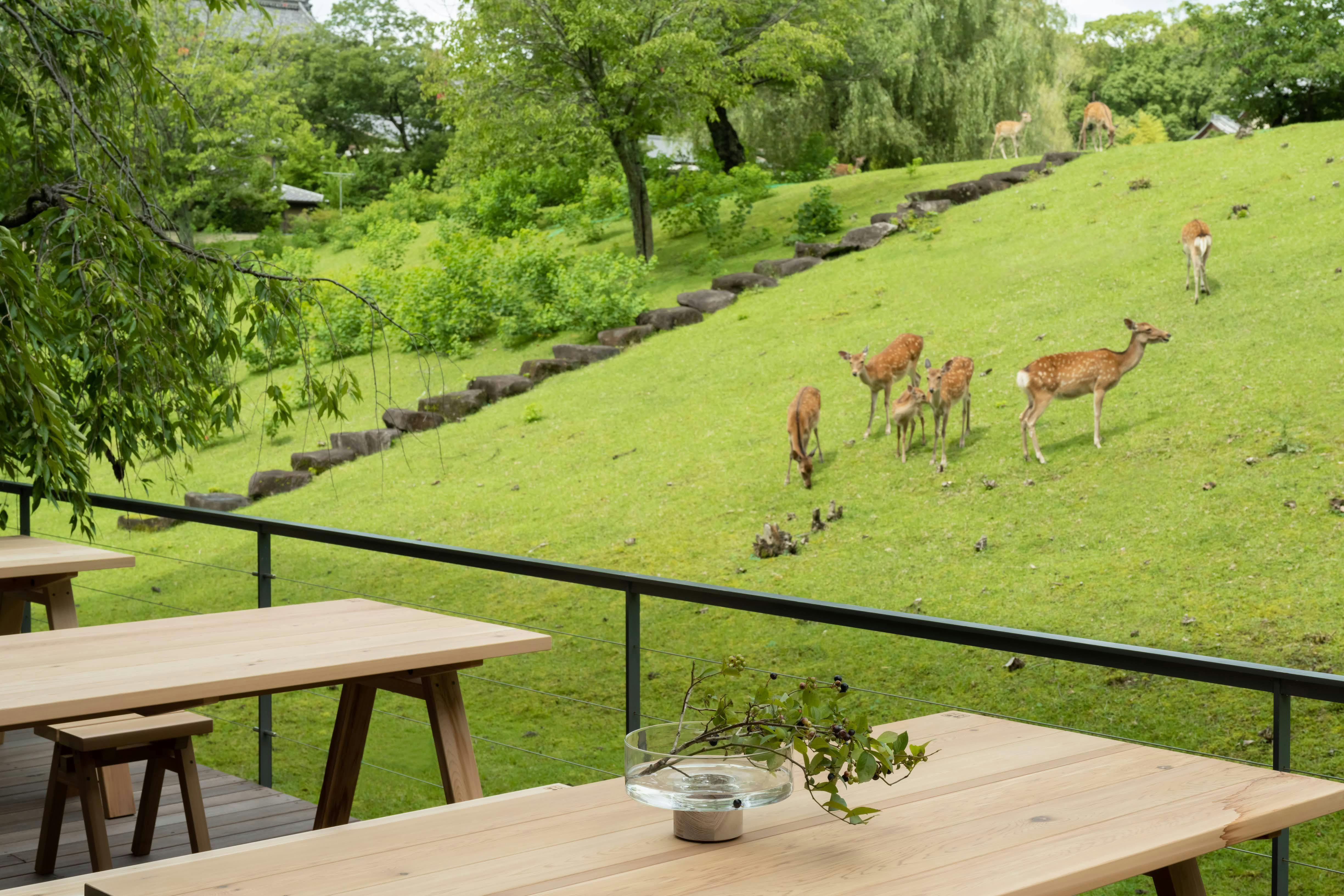MIROKU 奈良 by THE SHARE HOTELS