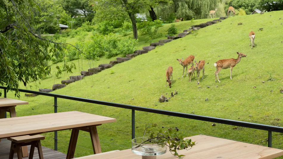 MIROKU Nara by THE SHARE HOTELS