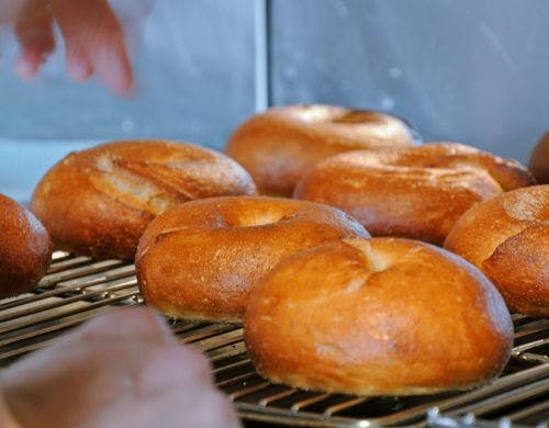 日替わりメニュー