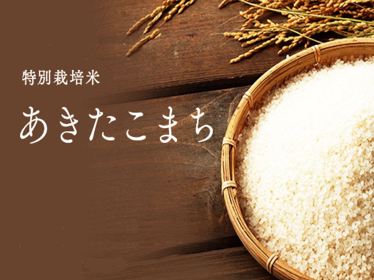 HOTEL NOSTAL YOKOTE