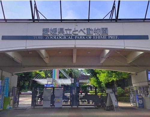 【とべ動物園】車で約20分