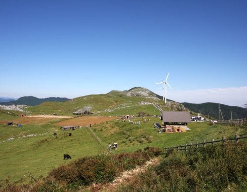 【四国カルスト】車で約2時間