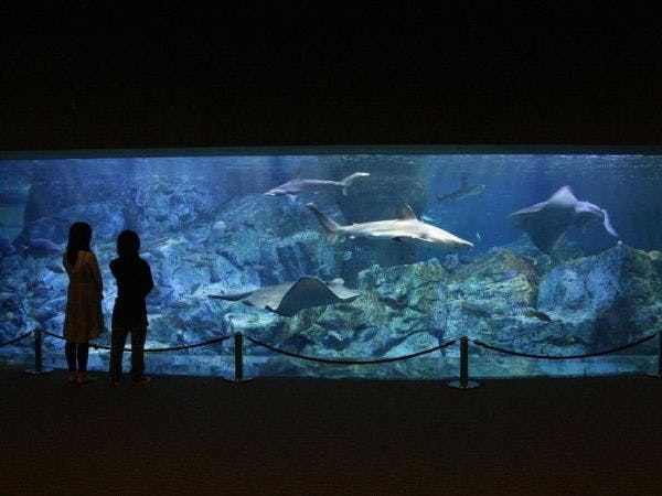 나이트 투어 "우미타마고"