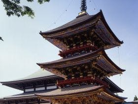 成田U-シティホテル （ユー）