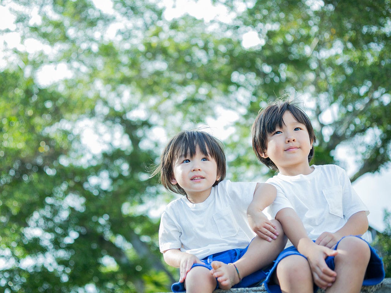 フォレストリゾートコニファーいわびつ 宿泊予約なら Yahoo トラベル
