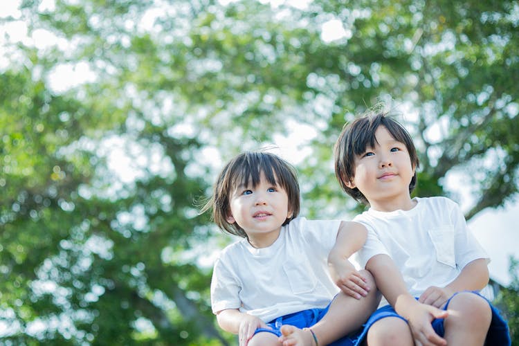 フォレストリゾートコニファーいわびつ 宿泊予約なら Yahoo トラベル フォレストリゾートコニファーいわびつ 宿泊予約なら Yahoo トラベル