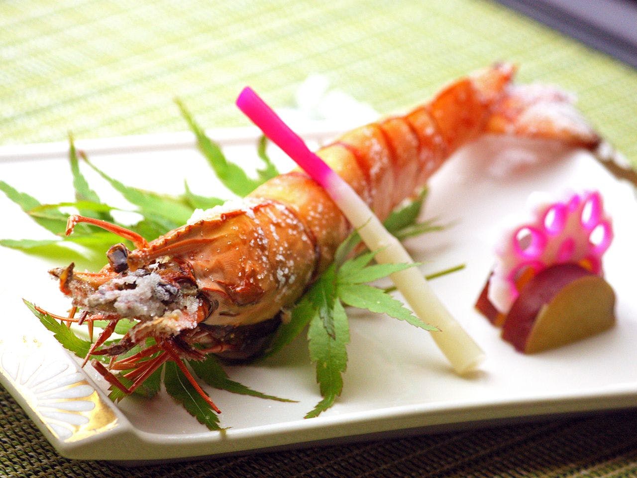 Forest Resort Conifer Iwabitsu