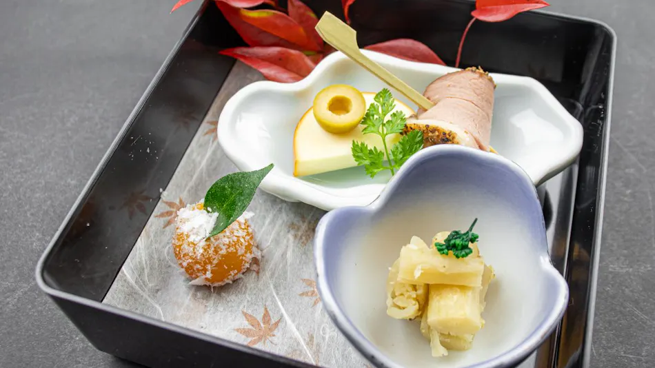 Forest Resort Conifer Iwabitsu