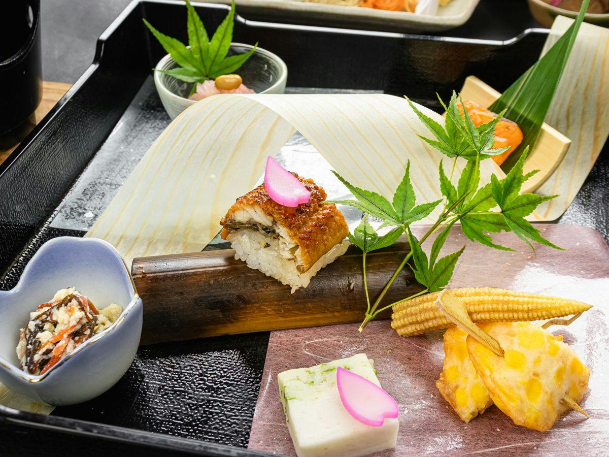 Forest Resort Conifer Iwabitsu