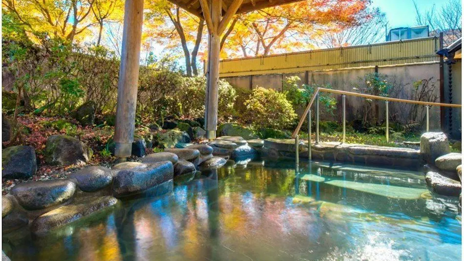 Forest Resort Conifer Iwabitsu