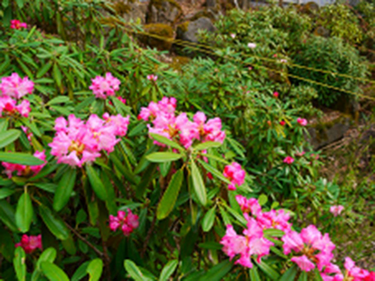 Kimimatsuso Inn by Lake Shirakaba