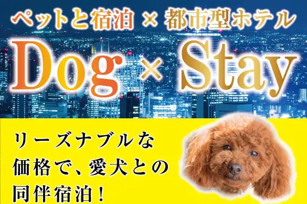 แผน Dog×Stay