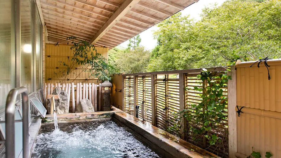 Shinkawakawa Kanko Hotel