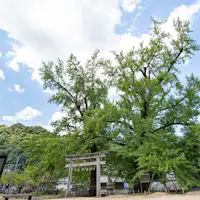 *ข้อมูลบริเวณโดยรอบ ศาลเจ้าอิวาเบะฮะจิมัง