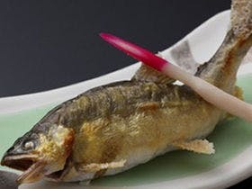 ホテル郡上八幡