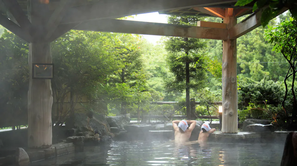 Hanamaki Onsen Hotel Hanamaki