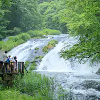 ไปเดินเล่นที่น้ำตกคามาบุจิกันเถอะ!