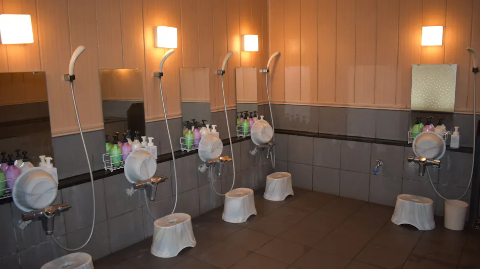 Hotel Crown Hills Toyokawa