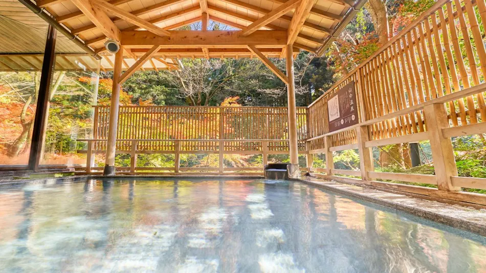 Ooedo Onsen Monogatari Premium Yoshinoya Irokuen