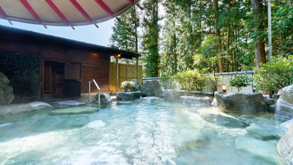 Ooedo Onsen Monogatari Gero Bekkan