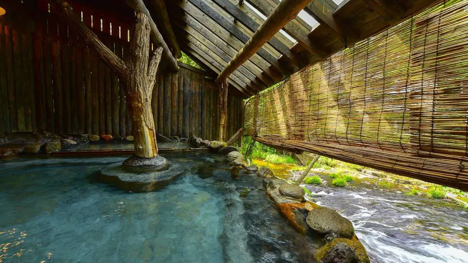 Kutsurogijuku Shintaki