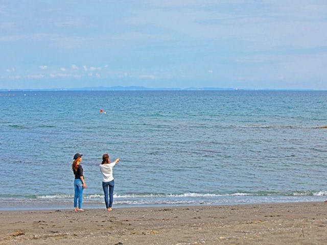 休暇村 館山 宿泊予約なら Yahoo トラベル
