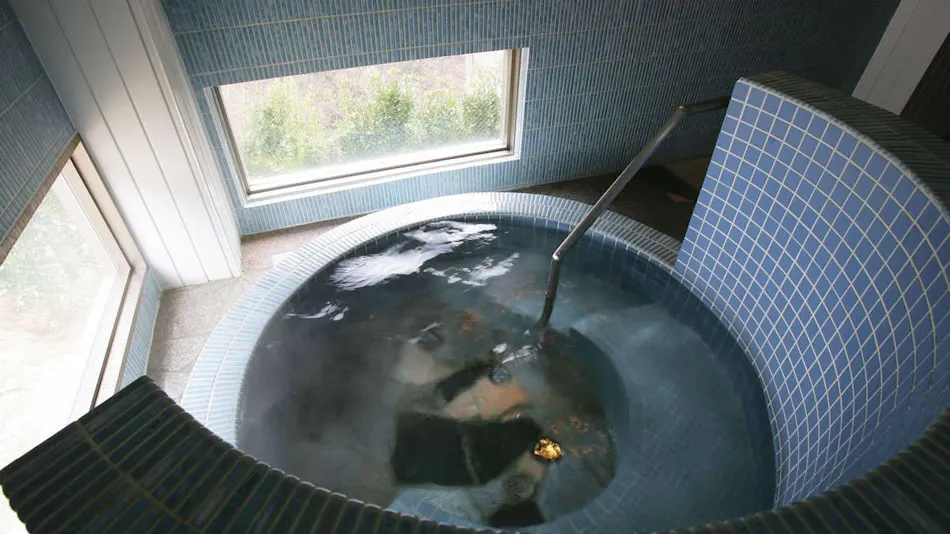 Sakunami Onsen La Raku Resort Hotel Green Green