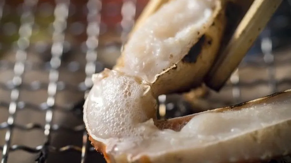 Kanoya Kourakuen