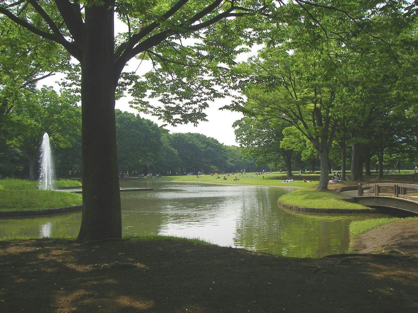 代代木公園