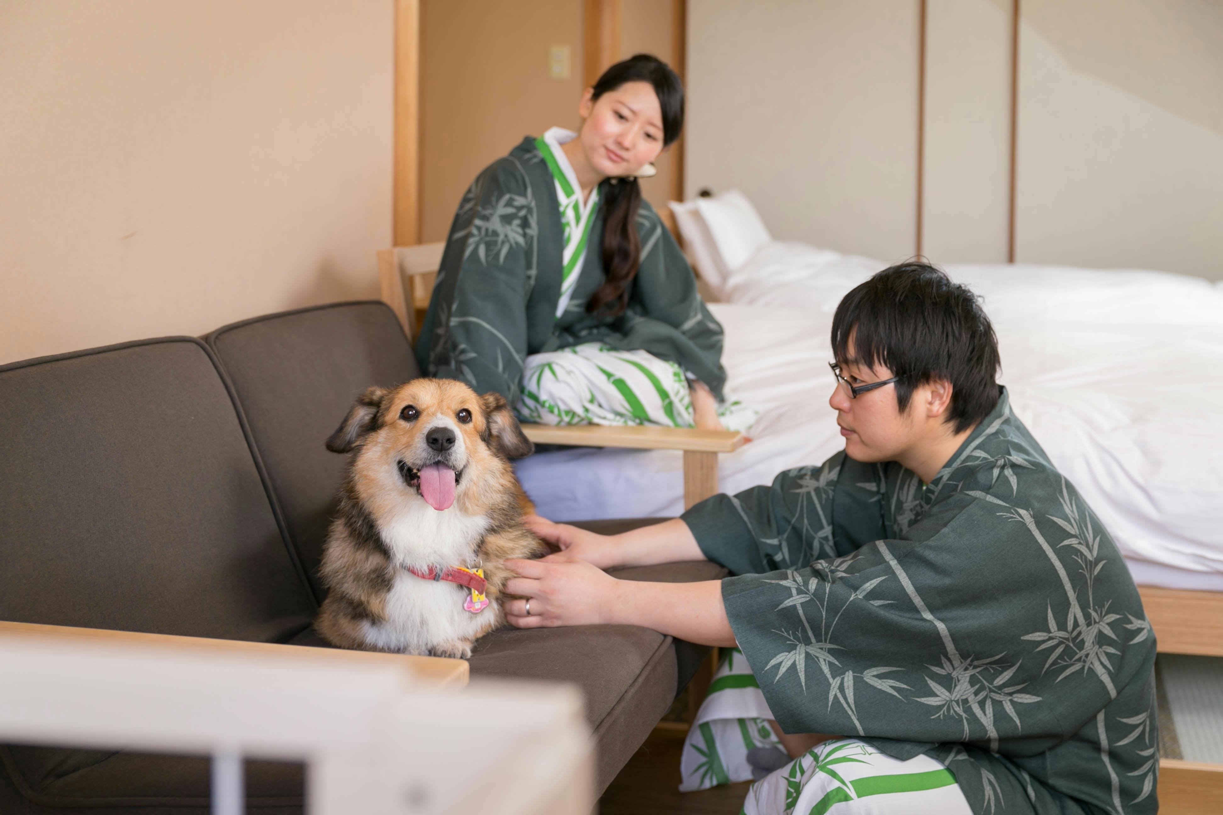 【獨立館・犬之家竹亭】