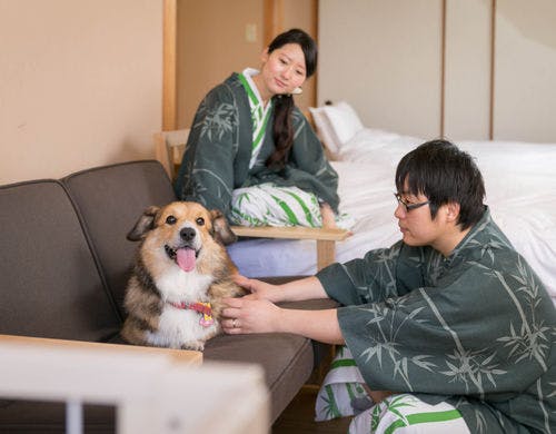 【離れの館・わんこ家竹亭】