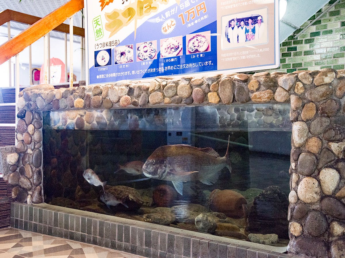 Amakusa Prince Hotel
