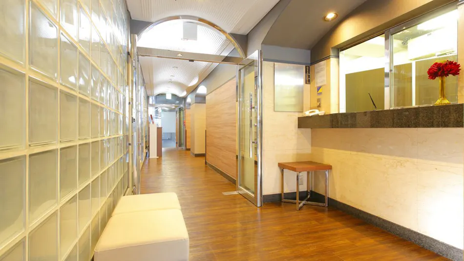 Flexstay Inn Kawasaki Kaizuka